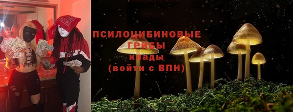 стафф Арсеньев