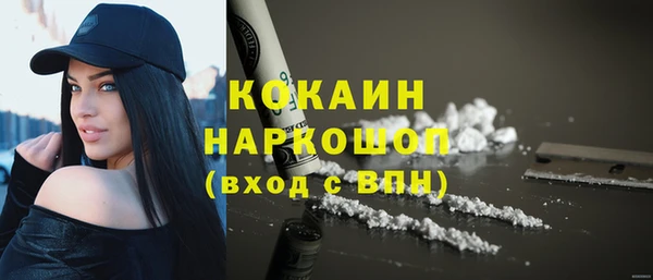 стафф Арсеньев