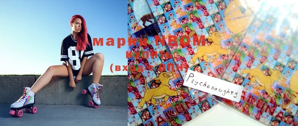 стафф Арсеньев